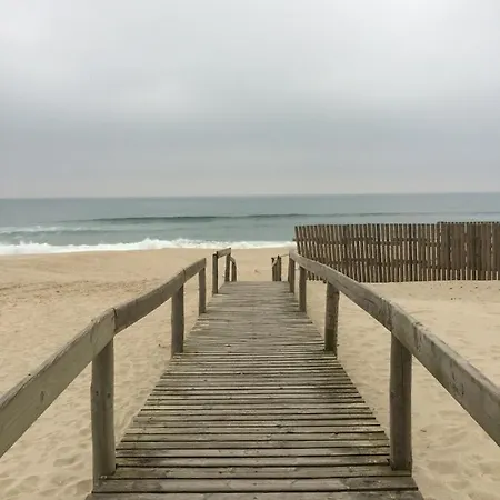 Nature Beach House Perfect To Relax Daire Ovar